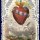 The Daily Offering to the Immaculate Heart of Mary